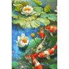 Lotus Flower & Koi Fish
