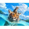 Swimming Tiger & Cat