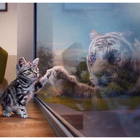 Cat Reflecting as Tiger