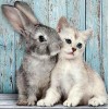 Cat & Rabbit DIY Painting Kit