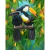 Tropic Spirits - Toucans