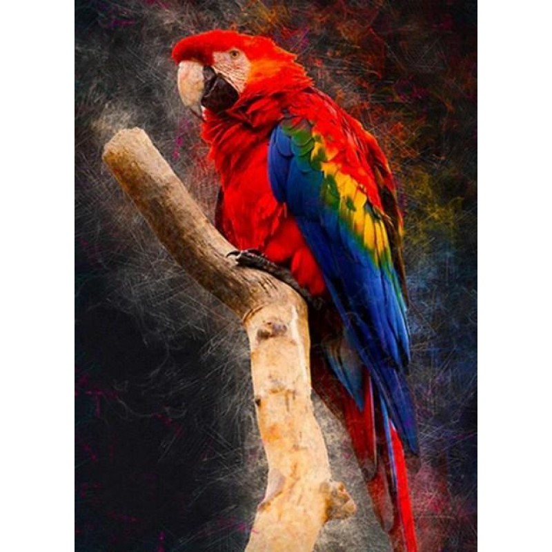 Macaw Parrot Diamond...
