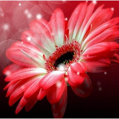 Gerber Flower - Paint with Diamonds