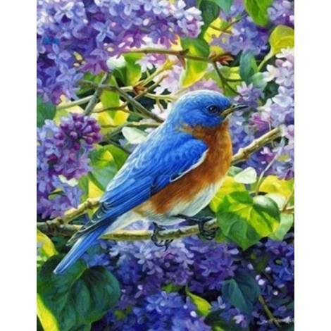 Bird Sitting in Lavender