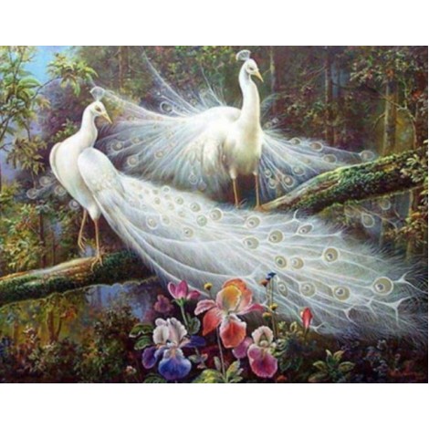 Pair of White Peacocks