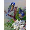 Adorable Birds Pair - Paint by Diamonds