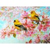 Yellow Birds & Pink Blossoms