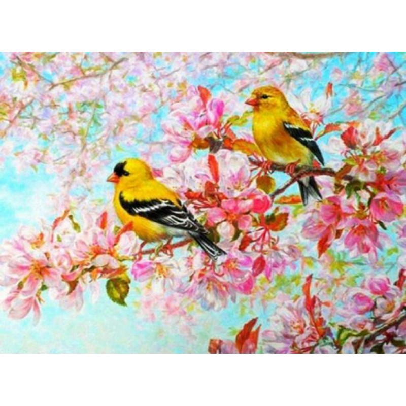Yellow Birds & P...