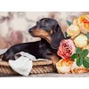 Dachshund & Flowers Diamond Painting