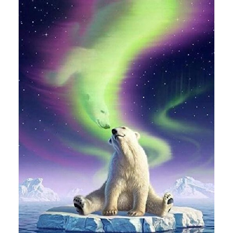 Polar Bear Northern ...