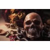 Human Skull DIY Diamond Painting
