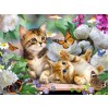 Kittens, Flowers & Butterflies