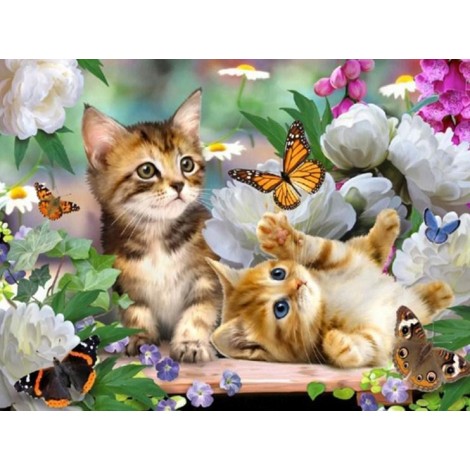 Kittens, Flowers & Butterflies