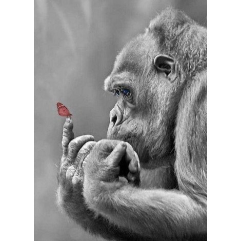 Gorilla & Butterfly Painting Kit