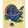 Basket of Blueberries & Butterfly