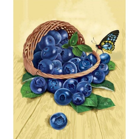 Basket of Blueberries & Butterfly