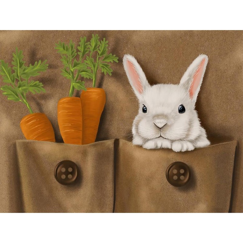Rabbit and Carrots D...