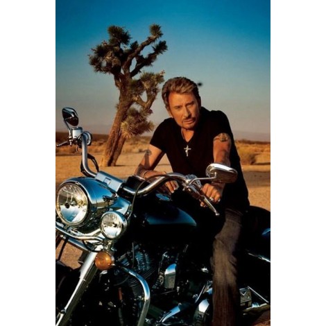 Johnny Hallyday - Diamond Painting kit