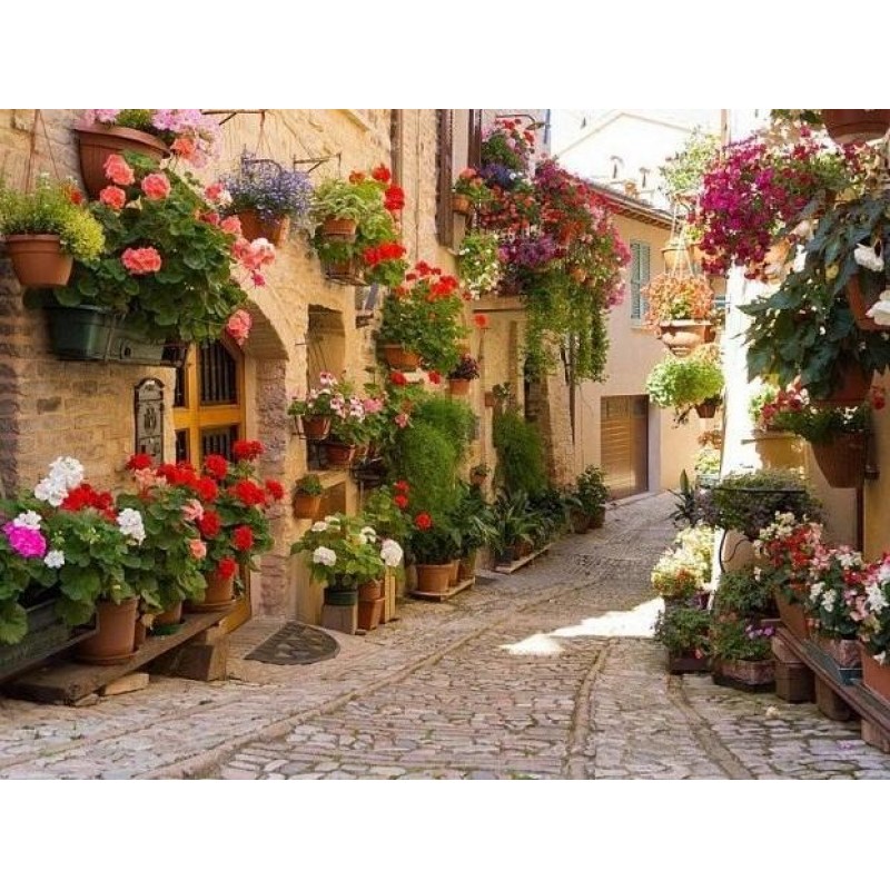 Umbria Italy - Paint...