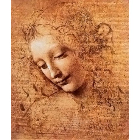 Girl Portrait  Diamond Painting - Leonardo Da Vinci