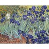 Irises DIY Diamond Painting  - Vincent Van Gogh
