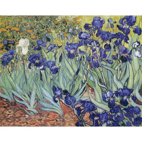 Irises DIY Diamond Painting  - Vincent Van Gogh