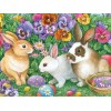 Rabbits & Flowers