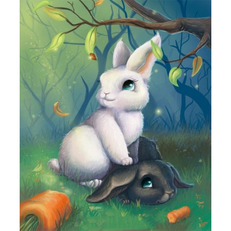 Black & White Rabbits in Forest