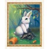 Black & White Rabbits in Forest
