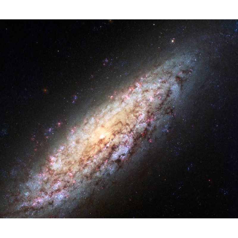 Lonely Galaxy Lost i...