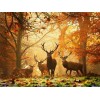 Amazing Forest DIY Painting Collection