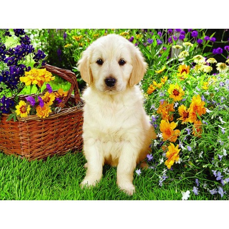 White Dog sitting in Flowers