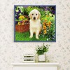 White Dog sitting in Flowers