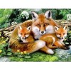 Fox Collection DIY Diamond Paintings