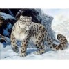 Leopard Collection DIY Diamond Paintings