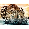 Leopard Collection DIY Diamond Paintings