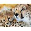 Leopard Collection DIY Diamond Paintings
