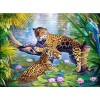 Leopard Collection DIY Diamond Paintings