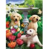 Dog Collection DIY Diamond Paintings