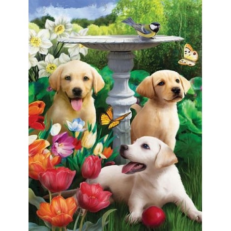 Dog Collection DIY Diamond Paintings