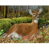 Deer Collection DIY Diamond Paintings