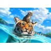 Cat & Tiger Swimming