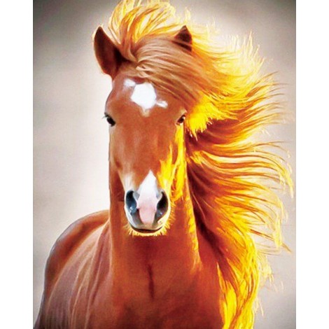 Horse 5D Diamond Painting Kit