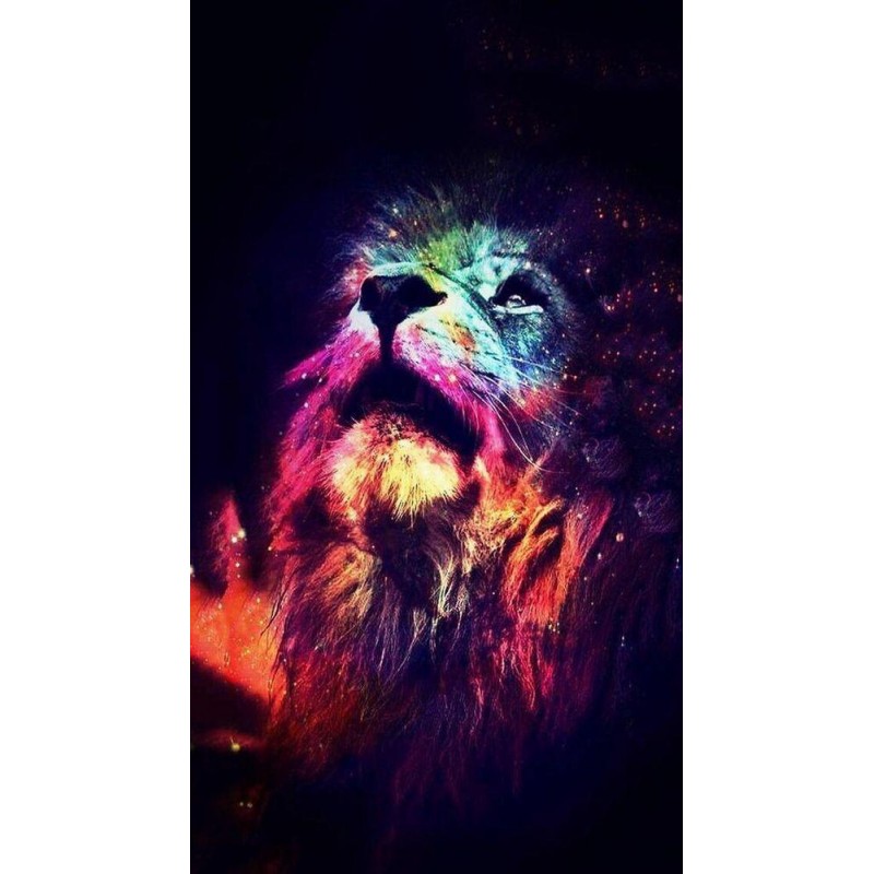 Colorful Lion Art Di...