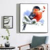 Snow Sparrow Diamond Painting