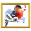 Snow Sparrow Diamond Painting