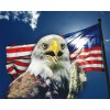 Eagle by the Flag DIY Diamond Painting