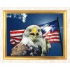 Eagle by the Flag DIY Diamond Painting