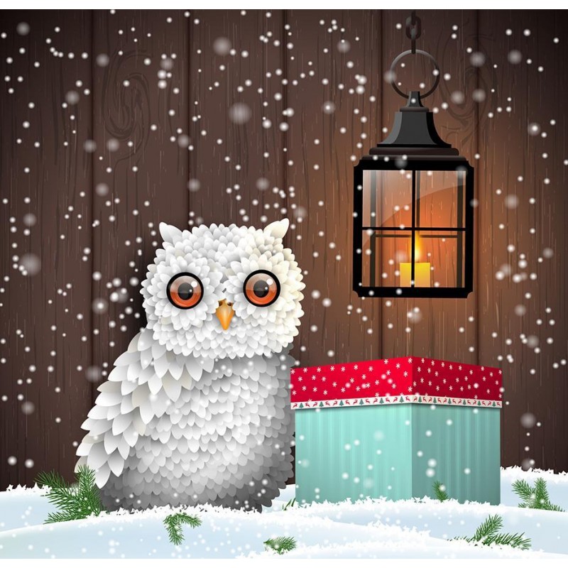 White Owl - Christma...