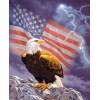 American Flag & Eagle Diamond Painting